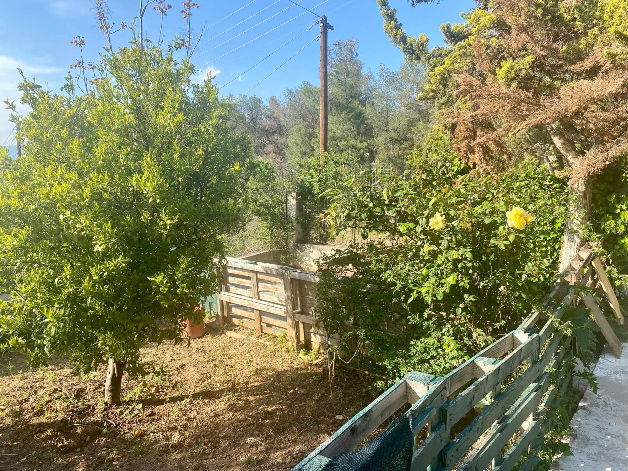 בית נופש 20 Mins From Centre, Rural House *