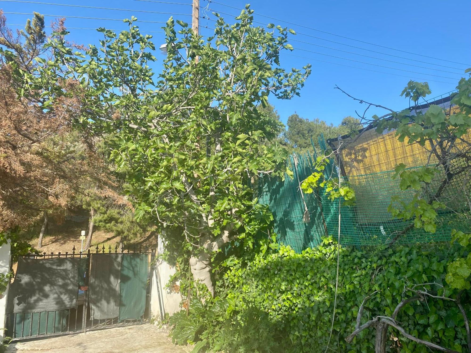 20 Mins From Centre, Rural House בית נופש