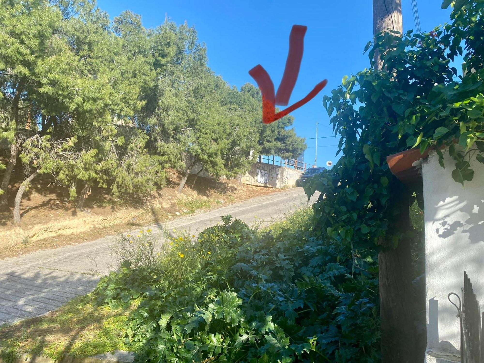 בית נופש 20 Mins From Centre, Rural House אתונה