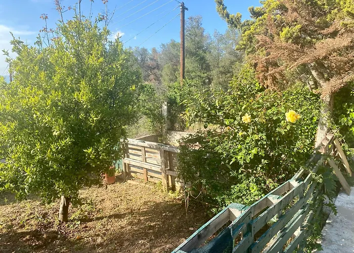 20 Mins From City Centre, Rural House
